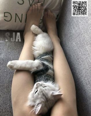 肥女BBw搡BBBB搡BBBB_超清完整视频观看